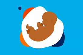 Image result for First Trimester Education