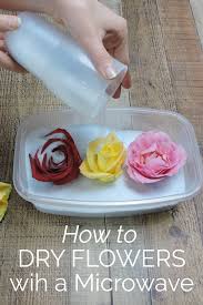 Drying pressed flowers in microwave. The Easiest Way To Dry Flowers In A Microwave Pressed Flowers Diy Dried Flowers Diy Diy Resin Crafts