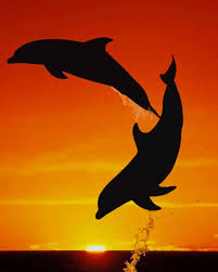 We did not find results for: Dolphins Jumping In The Sunset Silhouette Paint By Numbers Numpaint Paint By Numbers