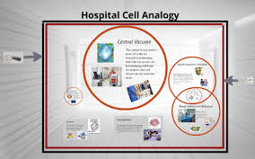 With its catchy rhythm and rhymes, students of all learn. Hospital Cell Analogy By Cindy Chu