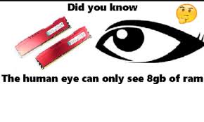 We did not find results for: Did You Know The Human Eye Can Only See 8gb Of Ram Ram Meme On Me Me
