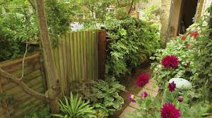 If You Re Looking For An Inspiration For A Small Yard Check Out Small Spaces Big Dreams On Ne Dream Garden Backyards Low Maintenance Garden Design Dream Garden