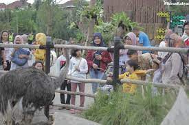 Scopri le migliori foto stock e immagini editoriali di attualità di kebun binatang su getty images. Kebun Binatang Baru Di Bandung Barat Warga Antusias Datang Habiskan Masa Liburan Pikiran Rakyat Com