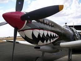 P51 Mustang Fighter Aircraft Supermarine Spitfire Fighter Planes