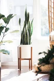 Mid Century Modern Plant Stand Hand Made In Canada Walnut Etsy In 2020 Mid Century Modern Plant Stand Modern Plant Stand White Ceramic Planter Find plant stand in canada | visit kijiji classifieds to buy, sell, or trade almost anything!