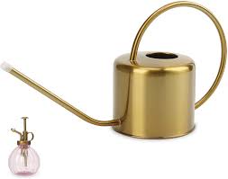We did not find results for: Amazon Com Remiawy Watering Can Indoor Outdoor Stainless Steel Watering Cans For House Plants Long Spout Water Can For Succulent Bonsai Garden Flower 40oz 1300ml Kitchen Dining
