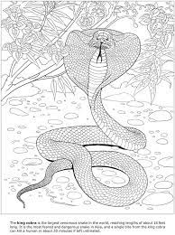 Learn about endangered animals and their babies or prepare for a farm field trip with free animal coloring pages. Welcome To Dover Publications 3d Dangerous Animals Coloring Books Coloring Pages Dover Publications Coloring