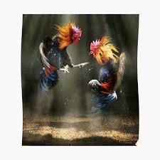 Two Roosters Fighting Poster By Getright209 Rooster Art Rooster Painting Fighting Rooster