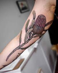 Sophia Baughan On Instagram Soft Tones On This Banksia Bouquet Tattoo Tattoo Designs Tattoos