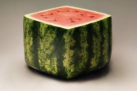Reshape your watermelons grown at home. 10 Most Expensive Asian Fruits Asian Inspirations