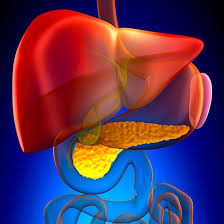However, pancreatic cancer may cause the following: How Long Do You Have To Live With Stage 4 Pancreatic Cancer