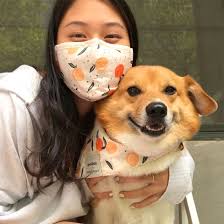 Face Mask & Dog Bandana Bundle