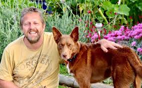 How One Family Came To Adopt Three Rescue Kelpies From Rspca Mirage News