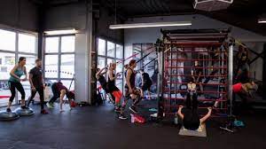Darwin's finches by john gould. Ai Fitness Studio Recklinghausen Hochlarmark Urban Sports Club