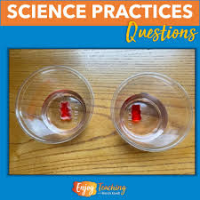 What Kinds Of Questions Can We Investigate? : Bird Cams Lab