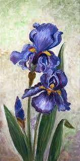 Iris Flowers Oil Painting Acrylic Painting For Beginners Flower Painting Oil Painting Flowers