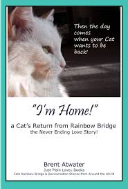 These include poems about dogs, cats, horses, and pet loss in general. Cat Loss Poems And Quotes Quotesgram