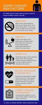 Kidney cancer affects the kidneys, which resemble the shape of a kidney bean and are about the size of a fist. March Is Kidney Cancer Awareness Month Department Of Urology College Of Medicine University Of Florida