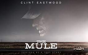 A mule is the offspring of a male donkey (jack) and a female horse (). The Mule Kritik Film Plus Kritik Online Magazin Fur Film Kino