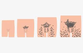 Male Png Images Free Transparent Male Download Kindpng