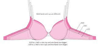 What Is My Bra Size Upbra