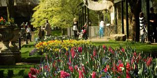 All children must be accompanied by an adult. Ticket Prices And Admission Visit Bristol Zoo Today Bristol Zoo