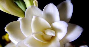 Pin On Nature