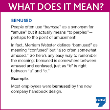 Have You Used The Word Bemused Before Try Composing A New Sentence Below
