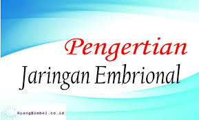Check spelling or type a new query. Pengertian Jaringan Embrional Jaringan Epitel Dan Jaringan Otot