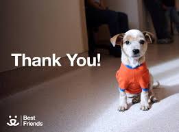 Best Friends Animal Society Https Www Facebook Com Photo Php Fbid 10152013304831425 Set A 10152013305336425 1073741873 2 Animal Society Best Friends Animals