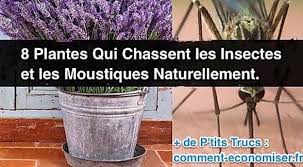 Epingle Sur Outillages Divers