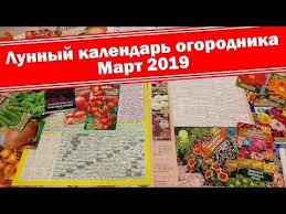 когда сажать помидоры на рассаду по лунному календарю 2019 Lunnyj Posevnoj Kalendar Na Mart 2019 Goda Dlya Sadovoda I Ogorodnika Blagopriyatnye Dni I Neblagopriyatnye Kogda Sazhat I Seyat Na Rass Kalendar Ovoshi Ogorod
