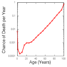 Are The Chances Of Dying Each Day 1 250 000 Skeptics