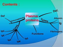 List Of Digestive System Organs Of Human Body