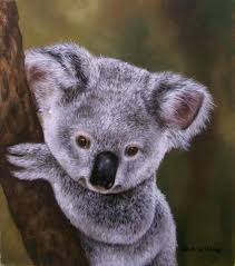 Image Result For Colour Pencil Drawings Of Koala Bears Color Pencil Drawing Color Pencil Art Chalk Pastels