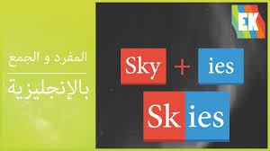 المفرد و الجمع باللغة الإنجليزية Singular And Plural Youtube