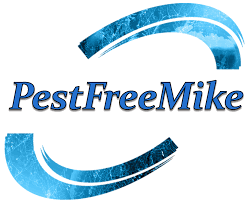 Nowadays, increasing a number of people concern about environment protection. Pest Proofing London Pest Control Services Pestfreemike