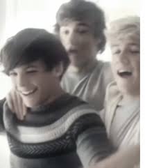 One Direction Reunion Hopes: Reflections and Memories