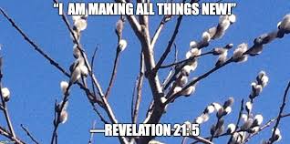 I am making all things new!“ A Devotion on Revelation 21: 5 | When ...