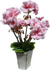 Cream artifical orchid flower in black pot, 35 cm. Uk Gardens 30cm Artificial Potted Plant Pink Geranium Flowers In Sha Uk Gardens Co Uk