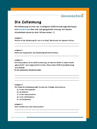 Arbeitsblatt über zellen / zellen des immunsystems student arbeitsblatt antwortet. Zellatmung
