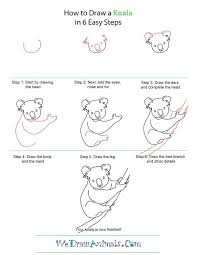 How To Draw A Koala Koala Drawing Koala Drawing Quotes