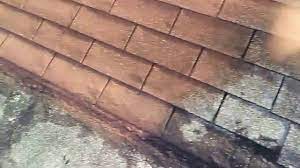 We did not find results for: How To Spay Shingles Roof Painting Youtube