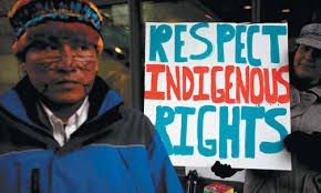 Amazon In Focus FALL 2013