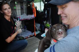 Houston nonprofit Rescued Pets Movement feeling financial strain