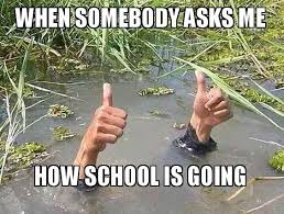 When Somebody Asks Me How School Is Going Make A Meme Going School Somebody Teaching Humor Teaching Memes Teacher Jokes