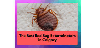 Wondercide flea, tick, and mosquito control spray. The 5 Best Bed Bug Exterminators In Calgary 2021