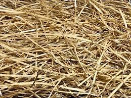 Amazon Com Aa Plus Shop 100 Natural Wheat Straw Grass Animal Bedding And Farm Wheat Straw 4lb Garden Outdoor Wheat Straw Straw Wheat