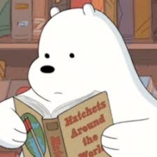 This image is in 42 collections view all. Aesthetic Pfp Ice Bear Novocom Top
