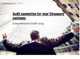 Annual financial statements of malaysian companies. Audit Exemption For Singapore Companies 2021 Update Corporate Services